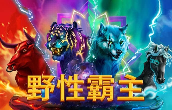 忆博体育app
